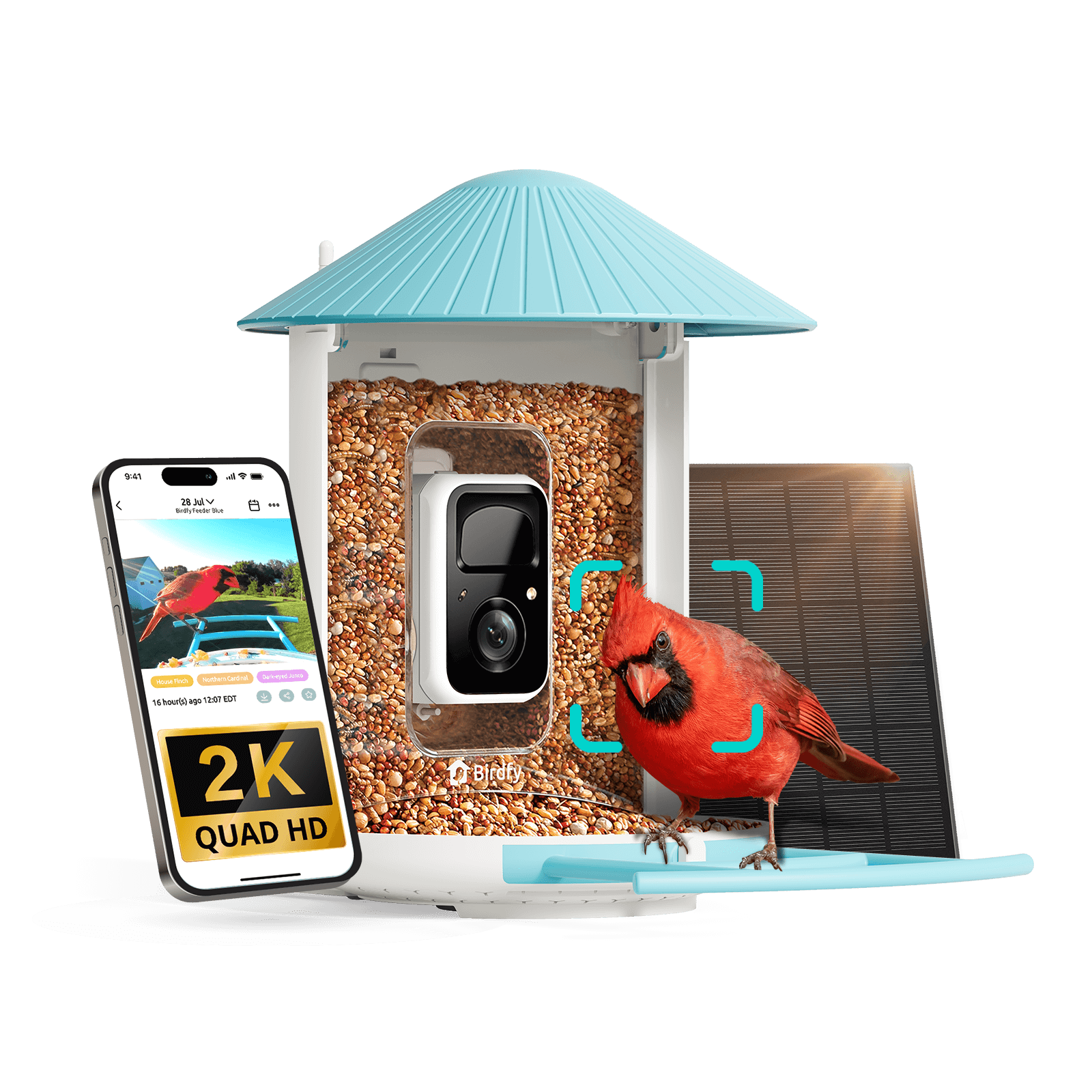 Birdfy Feeder - AI-Powered Smart Bird Feeder with Camera
